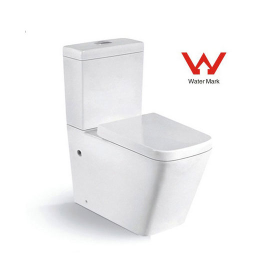 Two Piece Washdown Watermark Toilet